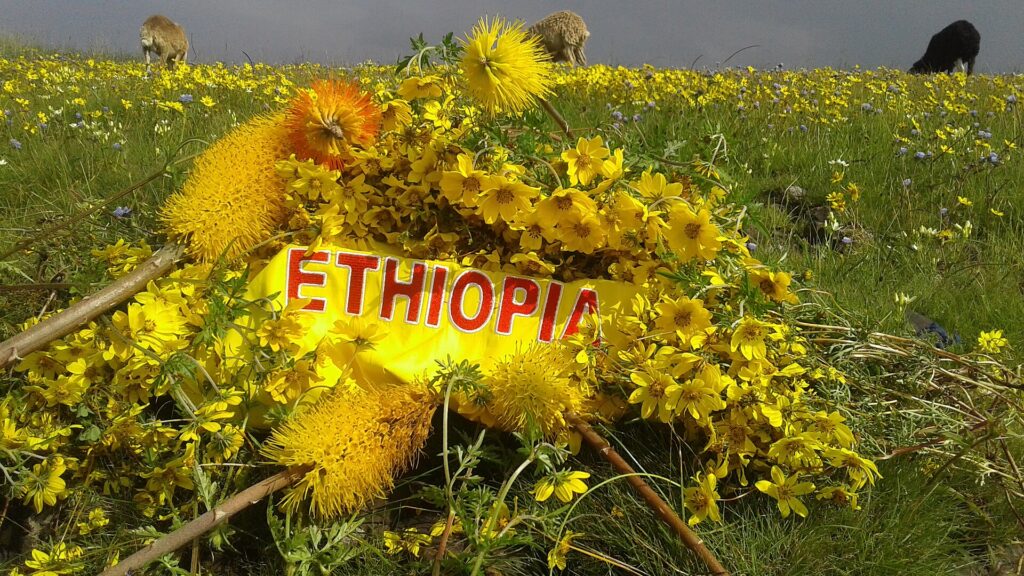 Ethiopian Calendar Converter