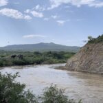 The Awash River near Sodere