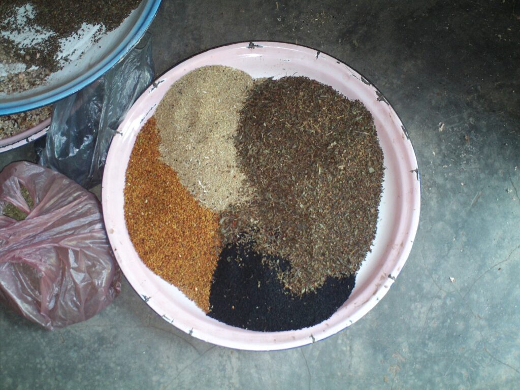 Spices laid out for making berbere