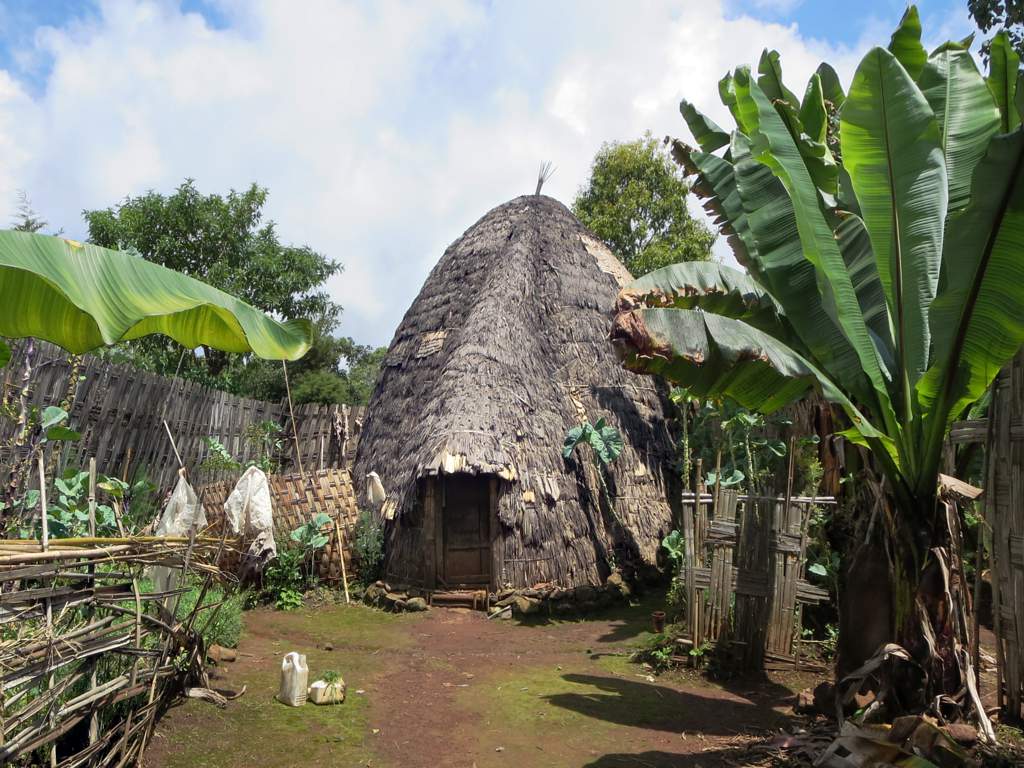 A traditional woven Dorze house in the Gamo highlands