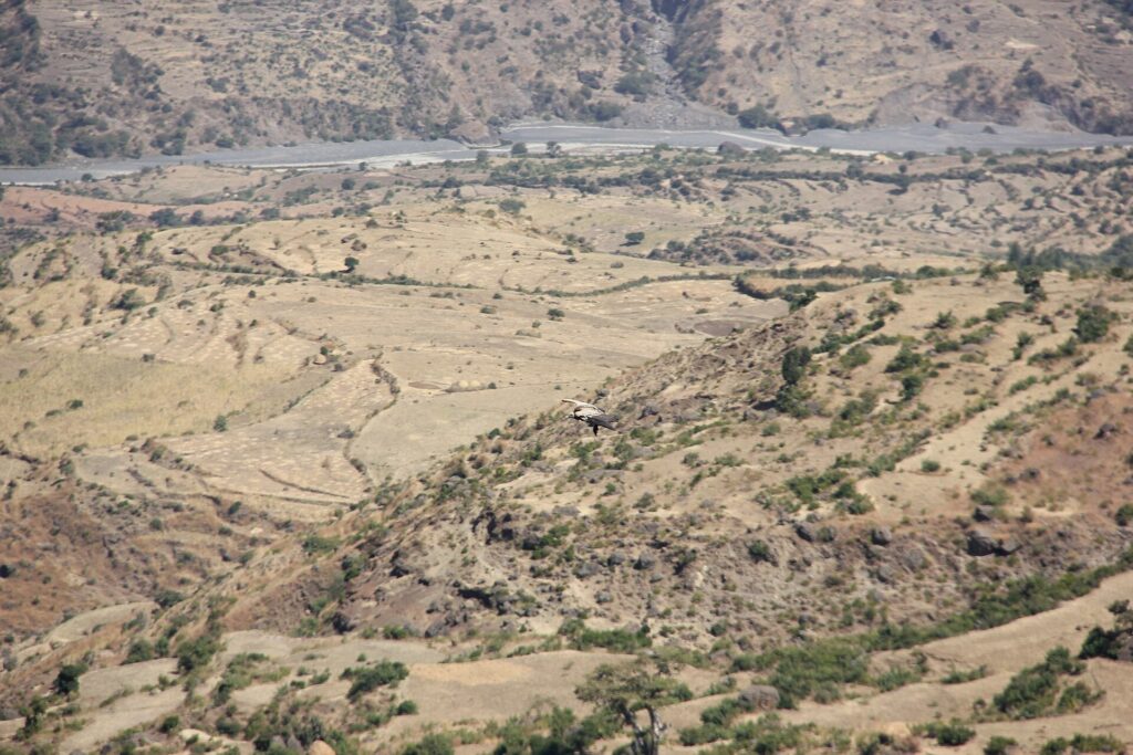 The Jemma gorge near Debre Libanos