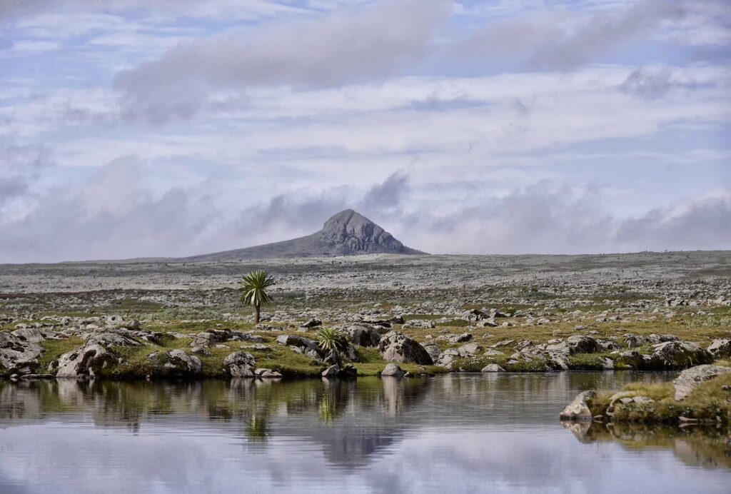Sanetti Plateau in the Bale Mountains